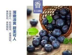 水莓100完全国产免费